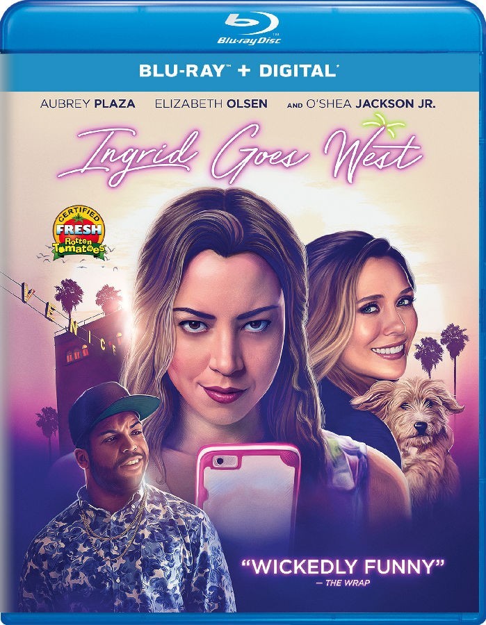 Ingrid Goes West (2017) BluRay 720p x265 HEVC AAC E-Subs English 600MB -=PSA=-