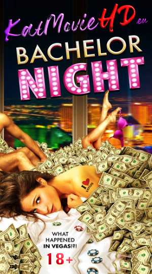 (18+) Bachelor Night (2014) Unrated Bluray 480p 720p Full Movie | ESubs