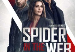 Spider in the Web (2019) HDRip 720p Dual Audio [English (ORG) + Hindi (Unofficial VO by 1XBET) ]