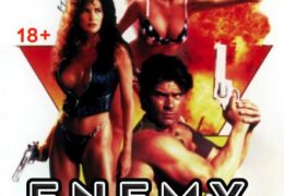 [18+] Enemy Gold (1993) UNRATED BluRay 720p [Dual Audio] [Hindi Dubbed – English] Eng Subs