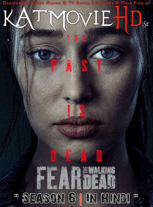 Fear the Walking Dead (Season 6) Dual Audio [ Hindi 5.1 – English ] 480p 720p HDRip | Fear the Walking Dead Netflix Series